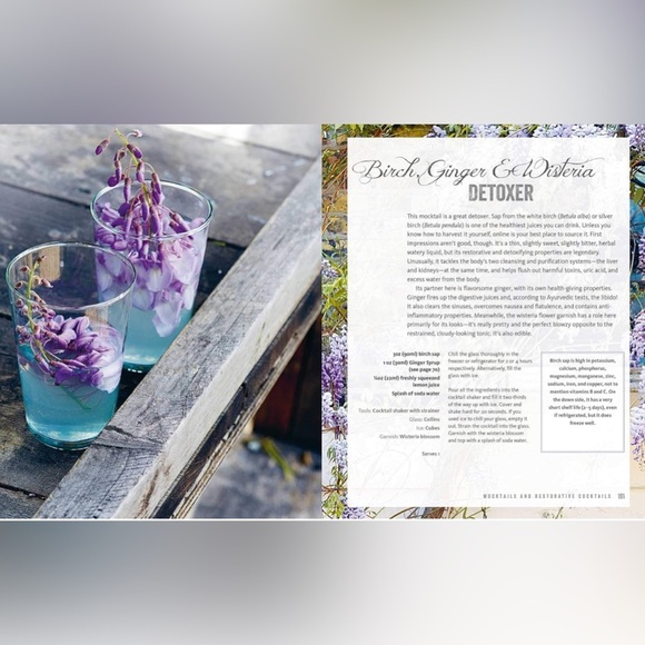 Wild Cocktails from  the Midnight Apothecary: Over 100 recipes - Picture 4 of 8